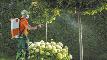 Fotografia de uma pessoa realizando a pulverização de plantas em um jardim. Ela usa roupas de proteção, incluindo luvas, máscara facial e um boné. E carrega uma mochila com um tanque, que é conectado a uma mangueira, a qual a pessoa está segurando com um jato indo na direção de uma árvore.