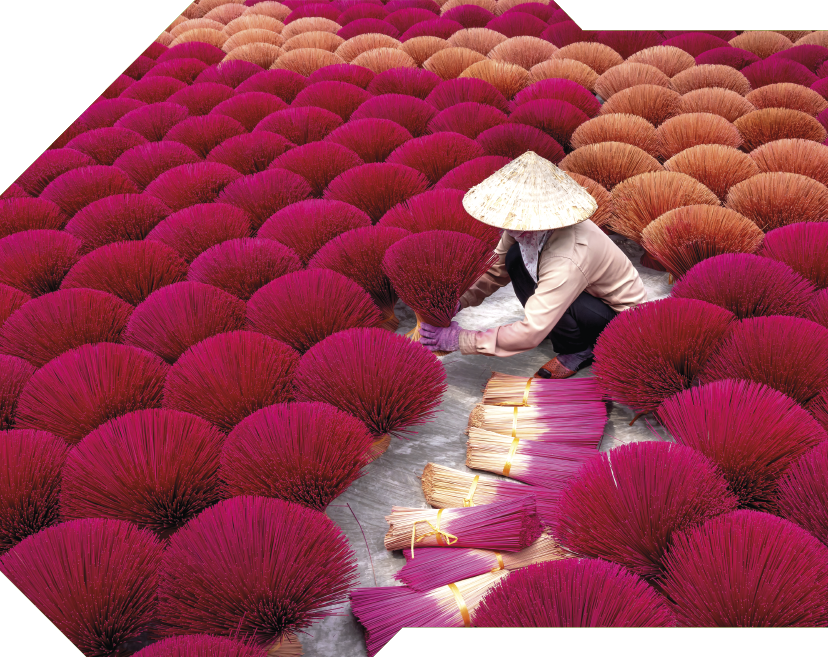 Fotografia de uma pessoa usando chapéu cônico, agachada manuseando um feixe de incenso. O espaço é preenchido por vários feixes de incenso abertos de cor predominante rosa e alguns em cor marrom. Cada feixe se assemelha a várias hastes verticais agrupadas. No chão, dispostos ao lado da mulher, estão os incensos, unidos em vários montes e amarrados com uma fita.