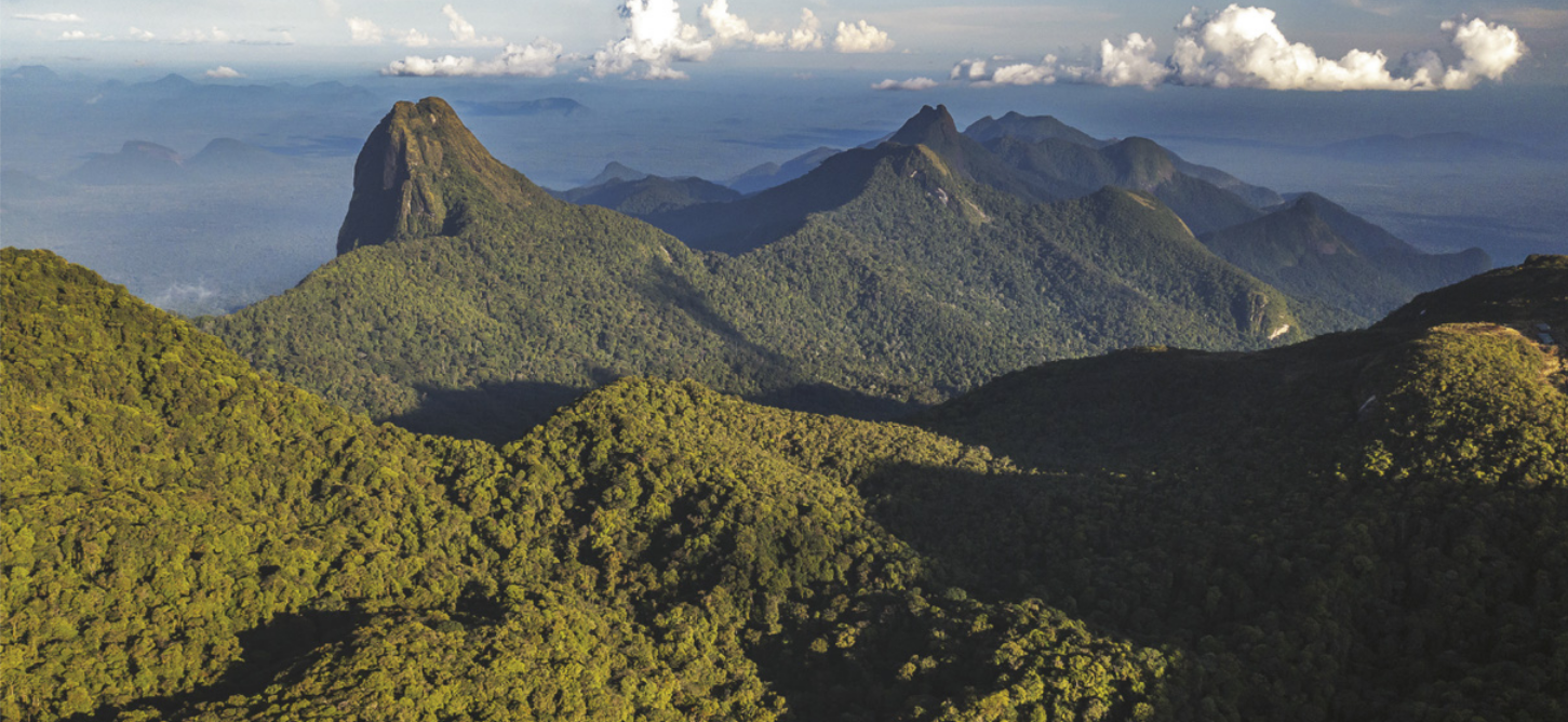 Fotografia de uma paisagem montanhosa com relevo acidentado, apresentando picos e serras. A vegetação é densa e cobre toda a superfície.