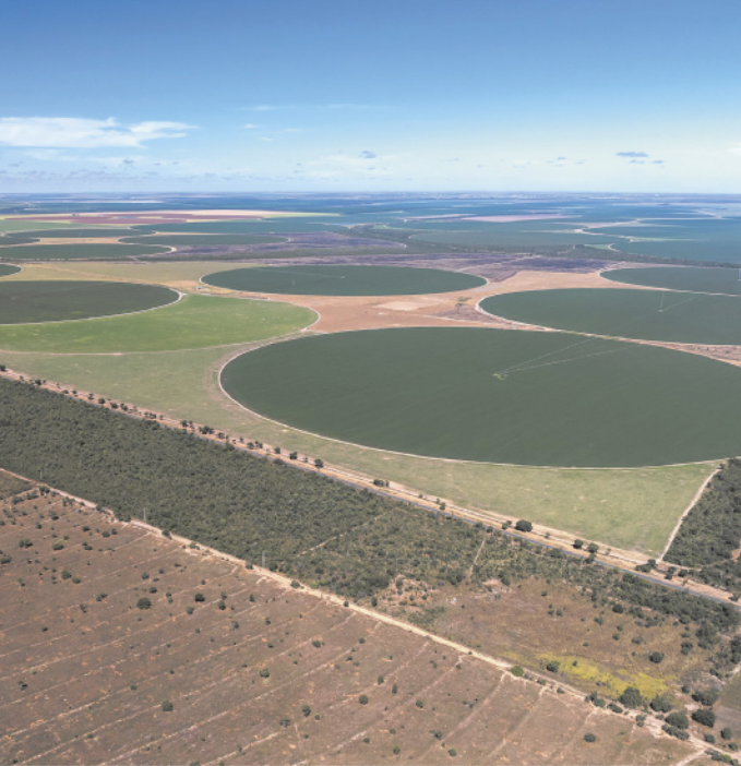 Fotografia com vista de cima de grandes plantações com formatos circulares. Ao redor, áreas desmatadas.