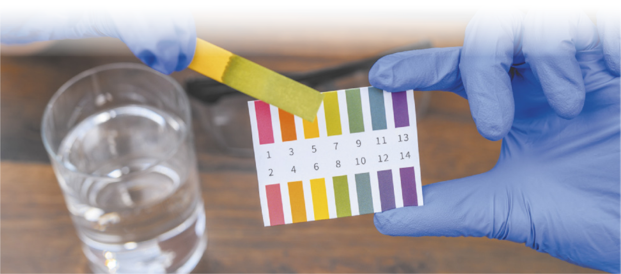 Fotografia de mão segurando um papel que indica faixas de cores para cada valor do p H, de um a 14. A outra mão segura uma tira de papel com a cor resultante que corresponde ao p H de valor 8.