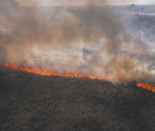 Fotografia com vista de cima de área florestal com um incêndio de grandes proporções.