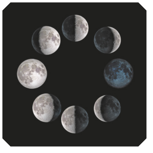 Imagem da lua em 8 fases diferentes: cheia, começo da minguante, meio da minguante, final da minguante, nova, começo da crescente, meio da crescente e final da crescente.