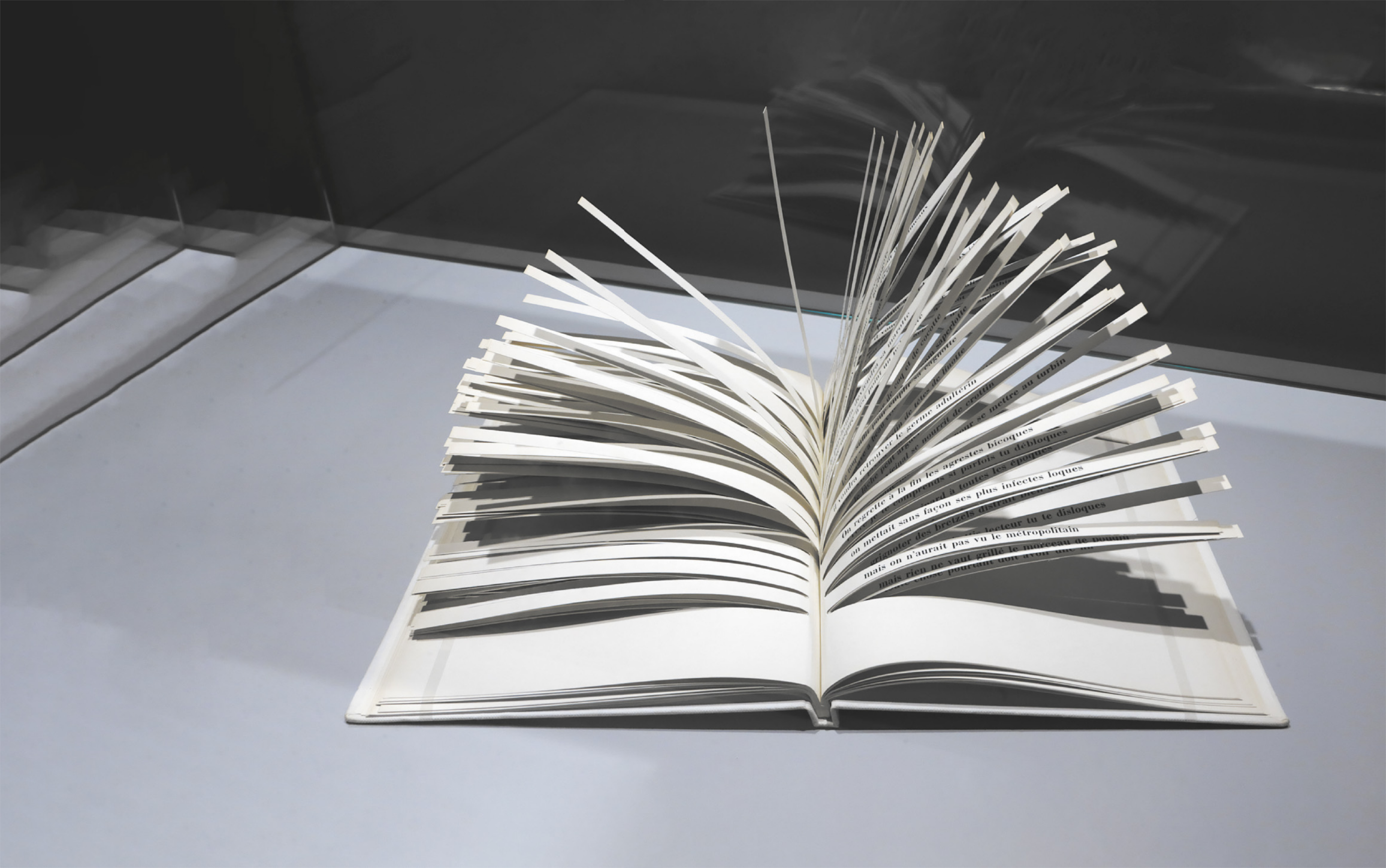 Fotografia de um livro cujas páginas são pequenas tiras de papel.