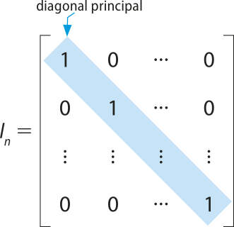 Ilustração de uma matriz Iíndice n. Entre a segunda e a última coluna e entre a segunda e a última linha há pontilhados no lugar dos elementos. Na diagonal principal, que está em destaque, há apenas o número 1 como seus elementos, sendo que os demais elementos da matriz são todos números zero.