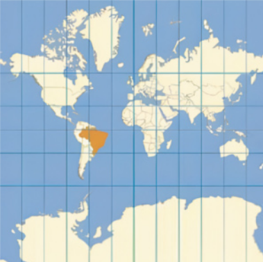 Ilustração de uma projeção do globo terrestre. Os meridianos e paralelos são linhas retas que, ao se cruzarem, formam retângulos. Próximo ao equador os retângulos se aproximam da forma quadrada e, conforme se afastam do Equador, os retângulos vão ficando cada vez mais alongados, fazendo as regiões dos polos norte e sul ficarem deformados por alongamento.