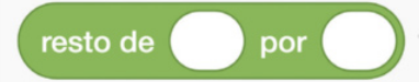 Ilustração de um bloco de programação de cor verde. Nele está escrito: 'resto de', espaço em branco, 'por', espaço em branco.