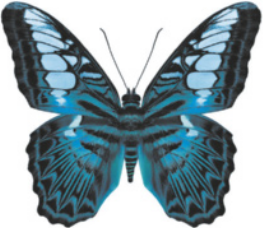 Ilustração de uma borboleta de cor azul.