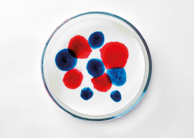 Fotografia de uma placa transparente contendo um líquido branco com várias manchas de cores azul e vermelha, que estão no centro do recipiente variando em tamanho e formato e algumas se sobrepõe.