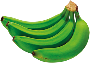 Fotografia uma penca com quatro bananas com cascas verdes.