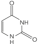 Estrutura química formada por símbolos de elementos químicos e linhas. Há um hexágono regular com uma linha dupla em seu lado esquerdo. No lugar do vértice inferior e no lugar do vértice superior direito há um grupo N H. E o vértice superior e vértice inferior direito estão ligados a um elemento O por linhas duplas.