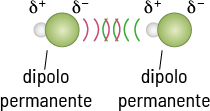 Ilustração composta por duas representações de moléculas, posicionadas lado a lado e cada uma formada por uma esfera verde conectada a uma esfera branca menor e indicadas por dipolo permanente. Acima de cada molécula estão os símbolos delta positivo e delta negativo. Entre as duas moléculas há linhas curvas alternadas nas cores verde e rosa.