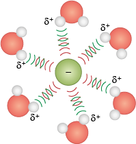 Ilustração de seis moléculas dispostas de forma circular, ao redor de uma esfera verde com um sinal de negativo. Cada molécula é composta por uma esfera vermelha conectada a duas esferas brancas menores, e próximo de cada molécula há o símbolo de delta positivo. Há linhas curvas alternadas em verde e vermelho conectando cada molécula a esfera verde no centro.