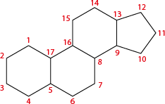 Estrutura química formada por linhas que formam três hexágonos regulares e um pentágono regular. Há números indicados em todos os vértices das figuras. À esquerda está o primeiro hexágono, e nele os números indicados nos vértices, em sentido anti-horário, começando pelo vértice superior é: 1, 2, 3, 4, 5 e 17. O lado com vértices 5 e 17 é comum com o segundo hexágono, que tem os seguintes vértices numerados, em sentido horário, a partir do 17: 16, 8, 7 e 6. O lado com vértices 16 e 8 é comum com o terceiro hexágono, que tem os seguintes vértices numerados, em sentido horário, a partir do 16: 15, 14, 13 e 9. O lado com vértices 13 e 9 é comum com um lado do pentágono, que tem os seguintes vértices numerados, em sentido horário, a partir do 13: 12, 11 e 10.