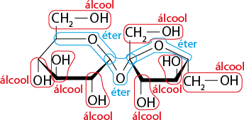 Estrutura química formada por símbolos de elementos químicos e linhas. À esquerda há um hexágono, a qual possui uma linha grossa em seu lado inferior e nos lados adjacentes a ele há um triângulo cheio. Os dois vértices do lado inferior desse hexágono estão ligados a um grupo O H por uma linha simples cada um. O vértice mais à esquerda também está ligado a um grupo O H por uma linha simples. No lado superior do hexágono, no lugar de um vértice está o elemento O, e o outro vértice está ligado por uma linha simples ao grupo C H índice 2 que está ligado ao grupo O H. O vértice mais à direita do hexágono está ligado a um elemento O por uma linha simples. Esse elemento O está ligado por uma linha simples ao vértice mais à esquerda de um pentágono. Esse mesmo vértice está ligado ao grupo C H índice 2 ligado ao grupo O H por linha simples. O pentágono possui uma linha grossa em seu lado inferior e nos lados adjacentes a ele há um triângulo cheio. No lado inferior, um vértice está ligado ao grupo O H, e o outro está ligado ao grupo H O, ambos por linhas simples. No lugar no vértice superior desse pentágono há um elemento O, e o vértice mais à direita está ligado ao grupo C H índice 2 ligado ao grupo O H por linha simples. Há várias indicações na estrutura, na qual todas as ligações envolvendo o grupo O H estão contornadas em vermelho e indicadas por álcool; e todas as ligações envolvendo o elemento O estão contornadas e indicadas por éter.