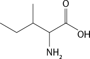 Estrutura química formada por símbolos de elementos químicos e linhas. Há uma sequência de 5 linhas formando 4 vértices, na qual, da esquerda para direita, o segundo vértice está ligado a uma linha simples acima; o terceiro está ligado ao grupo N H índice 2 por uma linha simples abaixo; o quarto vértice está ligado a um elemento O por uma linha dupla acima; e ao final da quinta linha há um grupo O H.
