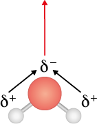 Ilustração de uma estrutura tridimensional composta por uma esfera central vermelha com dois palitos conectando a duas esferas brancas menores na parte inferior. Para a esfera vermelha está indicado delta negativo, e para cada esfera branca está indicado delta positivo, e há uma seta saindo de cada delta positivo e apontando para o delta negativo. Acima da esfera vermelha também há uma seta vermelha apontando para cima.