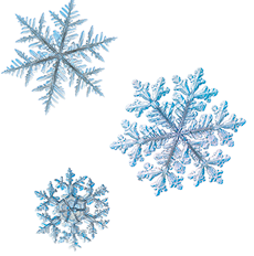 Ilustração de três flocos de neve em diferentes tamanhos. Cada floco possui um padrão hexagonal simétrico com diferentes ramificações em tons de azul e branco.