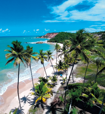 Fotografia da vista aérea de uma praia tropical. À esquerda, está o mar em tons de azul e verde com pequenas ondas se aproximando da areia. No centro, está uma faixa de areia clara com coqueiros altos e inclinados, cujas copas verdes se destacam contra o céu azul com poucas nuvens. À direita, há vegetação densa e colinas cobertas por plantas.