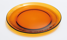 Fotografia de um prato circular contendo uma quantidade de líquido transparente acumulado no centro e nas bordas internas.