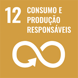 Ilustração de um quadrado laranja escrito: 12 Indústria, inovação e infraestruturas. E abaixo, o símbolo do infinito com uma seta em sua extensão.