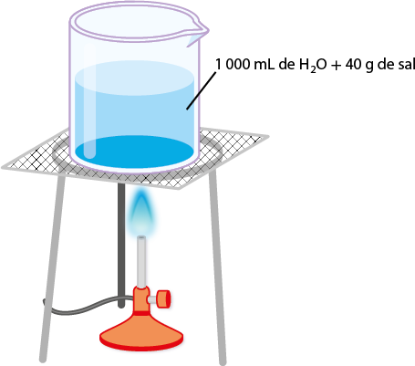 Ilustração de um experimento em que um béquer transparente contendo 1000 mililitros de água e 40 gramas de sal é aquecido. O béquer está posicionado sobre uma tela metálica, que por sua vez está apoiada em um suporte. Abaixo da tela, há um bico com chama azul acesa.