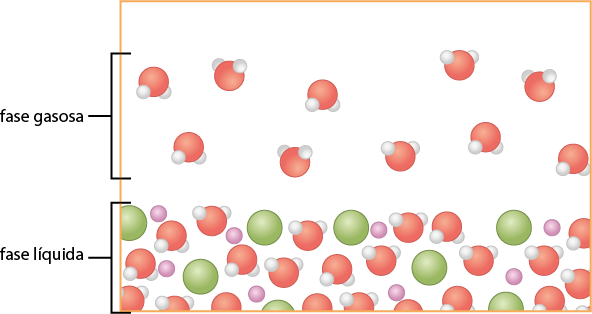 Ilustração de um sistema dividido em duas fases. Na parte superior, denominada fase gasosa, há várias esferas vermelhas, cada uma delas unidas por pequenas esferas brancas. Essas esferas estão dispersas. Na parte inferior, denominada fase líquida há esferas verdes, esferas roxas e esferas vermelhas unidas por esferas brancas, e todas estão mais próximas umas das outras.