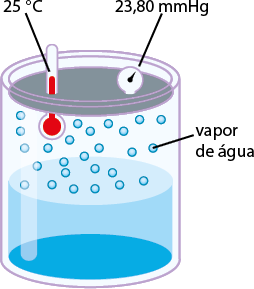 Ilustração de um cilindro transparente, com um líquido azul na parte inferior. Na parte superior há 26 pequenas esferas azuis dispersas, representando vapor de água. E há um termômetro com um bulbo vermelho submerso no líquido com a indicação de temperatura de 25 graus Celsius. Ao lado do termômetro, há um manômetro, que possui uma tela circular com uma agulha que indica a pressão de 23,80 milímetros de mercúrio.