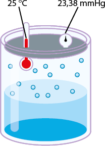 Ilustração de um cilindro transparente, com um líquido azul na parte inferior. Na parte superior há 14 pequenas esferas azuis dispersas, representando vapor de água. E há um termômetro com um bulbo vermelho submerso no líquido com a indicação de temperatura de 25 graus Celsius. Ao lado do termômetro, há um manômetro que indica a pressão de 23,38 milímetros de mercúrio.