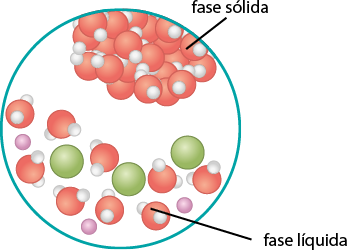 Ilustração representando duas fases de água dentro de um círculo. A parte superior está identificada como fase sólida e nela há moléculas organizadas de forma regular, bem próxima uma das outras. Cada molécula é representada por uma esfera vermelha conectada a duas esferas brancas. A parte inferior está identificada como fase líquida e nela há moléculas dispostas de forma mais espaçada umas das outras. As moléculas são representadas por esferas verdes, esferas roxas menores e esferas vermelhas conectadas a esferas brancas.