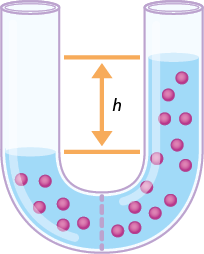Ilustração esquemática de um tubo em forma de U contendo líquidos. O lado esquerdo contém um líquido com algumas esferas rosas dispersas, enquanto o lado direito contém mais líquido e mais esferas dispersas. No centro inferior do tubo, há uma linha tracejada vertical. Uma linha vertical com duas setas opostas no centro do tubo indica a diferença de altura entre os líquidos nos dois lados, marcada pela letra h.