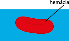 Ilustração de uma hemácia flutuando em um fundo azul. A hemácia é representada como uma estrutura oval de cor vermelha com uma curva interna.