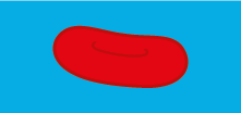 Ilustração de uma hemácia representada como uma estrutura oval de cor vermelha com uma curva interna, em um fundo azul.
