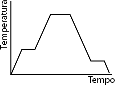 Gráfico de linhas com eixo vertical indicado como Temperatura e o eixo horizontal como Tempo. A curva se inicia crescente, depois em um curto tempo, a temperatura permanece constante. Em seguida há uma inclinação crescente, chegando a um ponto máximo, onde a temperatura permanece constate por um tempo, e decresce na sequência até chegar próximo da temperatura inicial, onde fica constante por um curto tempo e depois decresce chegando a temperatura inicial.