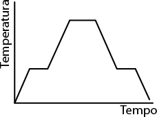 Gráfico de linhas com eixo vertical indicado como Temperatura e o eixo horizontal como Tempo. A curva se inicia crescente, depois em um curto tempo, a temperatura permanece constante. Em seguida há uma inclinação crescente, chegando a um ponto máximo, onde a temperatura permanece constate por um tempo, e decresce na sequência por um tempo, ficando constante novamente com a mesma temperatura da primeira parte constante do gráfico. E depois segue decrescente voltando a temperatura inicial.