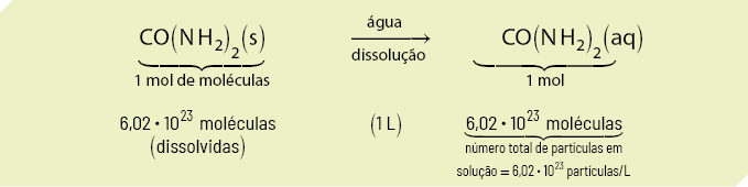 Esquema organizado em duas linhas. Na primeira linha indicado por 1 mol de moléculas está escrito: C O abre parênteses N H índice 2 fecha parênteses, índice 2, abre parênteses, s, fecha parênteses. Ao lado há uma seta apontando para direita, na qual acima dela está escrito água e abaixo dissolução. A seta aponta para a indicação de 1 mol: C O abre parênteses N H índice 2 fecha parênteses, índice 2, abre parênteses, a q, fecha parênteses. Na segunda linha, está a expressão 6 vírgula 0 2 vezes 10 elevado a 23 moléculas dissolvidas. No centro está indicado 1 litro e mais à direita está a expressão: 6 vírgula 0 2 vezes 10 elevado a 23 moléculas. Essa expressão corresponde a: número total de partículas em solução igual a 6 vírgula 0 2 vezes 10 elevado a 23 partículas por litro.