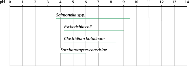 Gráfico de linha com a faixa de pH em que diferentes microrganismos podem se desenvolver. O eixo horizontal representa a escala de pH de 0 a 14, e há linhas horizontais verdes que indicam os intervalos de pH em que cada microrganismo sobrevive. Salmonella spp. cresce em uma faixa de pH aproximadamente entre 3,8 e 9,5. Escherichia coli apresenta crescimento entre pH 4,3 e 9. Clostridium botulinum cresce na faixa de pH entre 4,2 e 8,5. Saccharomyces cerevisiae cresce com faixa de pH entre 4,0 e 6,0.