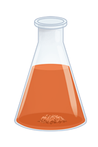 Ilustração de um frasco contendo um líquido laranja escuro no seu interior e alguns fragmentos sólidos no fundo.
