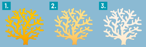 Ilustração dividida em três partes numeradas. Em todas elas estão uma representação de uma estrutura semelhante com um pequeno galho, com ramificações. Em 1, a estrutura está com coloração alaranjada. Em 2, a cor está mais clara, em tom amarelado. E em 3, estrutura tem cor branca.