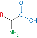Estrutura química formada por símbolos de elementos químicos e linhas. Da esquerda para direita: há um elemento R em vermelho ligado ao grupo N H índice 2 por duas linhas que formam um vértice, da qual está ligado a um elemento C por uma linha simples. Esse elemento C está ligado a um elemento O acima, por uma linha dupla, e está ligado a um grupo O H por uma linha simples. O grupo O H e os elementos O e C estão em azul.