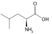 Estrutura química formada por símbolos de elementos químicos e linhas. Da esquerda para a direita há uma sequência de cinco linhas formando quatro vértices, na qual, o primeiro está ligado a uma linha simples; o terceiro está ligado a um grupo N H índice 2 por um triângulo cheio; o quarto vértice está ligado a um elemento O por uma linha dupla; e ao final da quinta linha está o grupo O H.