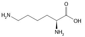 Estrutura química formada por símbolos de elementos químicos e linhas. Da esquerda para a direita: há um grupo H índice 2 N ligado a uma sequência de sete linhas formando seis vértices, na qual, o quinto está ligado a um grupo N H índice 2 por um triângulo cheio; o sexto vértice está ligado a um elemento O por uma linha dupla; e ao final da sétima linha está o grupo O H.