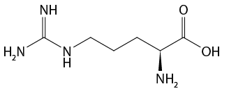 Estrutura química formada por símbolos de elementos químicos e linhas. Da esquerda para a direita: há um grupo H índice 2 N ligado à direita a um grupo N H por duas linhas formando um vértice que está ligado a outro grupo N H por uma linha dupla. O grupo N H da direita está ligado a uma sequência de seis linhas formando cinco vértices, na qual, o quarto está ligado a um grupo N H índice 2 por um triângulo cheio; o quinto vértice está ligado a um elemento O por uma linha dupla; e ao final da sexta linha está o grupo O H.