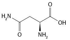 Estrutura química formada por símbolos de elementos químicos e linhas. Da esquerda para a direita: há um grupo H índice 2 N ligado a uma sequência de cinco linhas formando quatro vértices, na qual, o primeiro e quarto vértice estão ligados a um elemento O por uma linha dupla cada um; o terceiro vértice está ligado a um grupo N H índice 2 por um triângulo cheio; e ao final da sétima linha está o grupo O H.