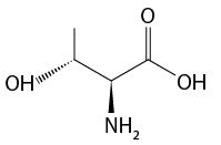 Estrutura química formada por símbolos de elementos químicos e linhas. Da esquerda para a direita: há um grupo O H ligado por um triângulo tracejado a uma sequência de três linhas formando três vértices, na qual, o primeiro está ligado a uma linha simples, o segundo está ligado a um grupo N H índice 2 por um triângulo cheio; o terceiro está ligado a um elemento O por uma linha dupla; e ao final da terceira linha há um grupo O H.