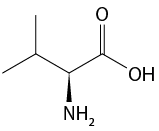 Estrutura química formada por símbolos de elementos químicos e linhas. Da esquerda para a direita há uma sequência de quatro linhas formando três vértices, na qual, o primeiro está ligado a uma linha simples; o segundo está ligado a um grupo N H índice 2 por um triângulo cheio; o terceiro vértice está ligado a um elemento O por uma linha dupla; e ao final da quarta linha está o grupo O H.