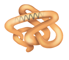 Ilustração representando a estrutura tridimensional de uma proteína. Há uma fita de cor marrom que se dobra e se enrola sobre si mesma. Em uma região da fita, há uma porção com padrão com várias curvas.