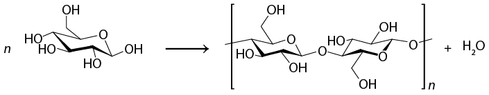 Esquema de uma reação química com estruturas formadas por símbolos de elementos químicos e linhas. À esquerda há um n seguido por uma estrutura com um grupo H O ligado a um elemento O por uma sequência de três linhas que formam dois vértices, em que o primeiro vértice está ligado a um triângulo cheio, e o segundo está ligado a um grupo O H por duas linhas formando um vértice. O triângulo cheio está ligado a um grupo H O por uma linha simples, e está ligado a uma linha grossa que está ligada a outro grupo H O por uma linha simples, e está ligada a outro triângulo cheio. Esse último triângulo cheio está ligado a outro grupo O H por uma linha simples e está ligado ao elemento O anterior por linha simples. Uma seta aponta para direita, com a mesma estrutura entre colchetes se repetindo duas vezes, com um O ligando as duas no centro. Há um n subscrito ao colchete, e ao lado escrito mais H índice 2 O.