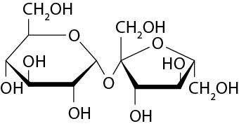 Estrutura química formada por símbolos de elementos químicos e linhas. À esquerda há um hexágono, a qual possui uma linha grossa em seu lado inferior e nos lados adjacentes a ele há um triângulo cheio. Os dois vértices do lado inferior desse hexágono estão ligados a um grupo O H por uma linha simples cada um. O vértice mais à esquerda também está ligado a um grupo O H por uma linha simples. No lado superior do hexágono, no lugar de um vértice está o elemento O, e o outro vértice está ligado por uma linha simples ao grupo C H índice 2 O H. O vértice mais à direita do hexágono está ligado a um elemento O por uma linha simples. Esse elemento O está ligado por uma linha simples ao vértice mais à esquerda de um pentágono. Esse mesmo vértice está ligado ao grupo C H índice 2 O H por uma linha simples. O pentágono possui uma linha grossa em seu lado inferior e nos lados adjacentes a ele há um triângulo cheio. No lado inferior, um vértice está ligado ao grupo O H, e o outro está ligado ao grupo H O, ambos por linhas simples. No lugar no vértice superior desse pentágono há um elemento O, e o vértice mais a direita está ligado ao grupo C H índice 2 O H por uma linha simples.