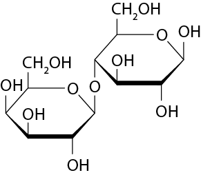 Estrutura química formada por símbolos de elementos químicos e linhas. À esquerda há um hexágono, a qual possui uma linha grossa em seu lado inferior e nos lados adjacentes a ele há um triângulo cheio. Os dois vértices do lado inferior desse hexágono estão ligados a um grupo O H por uma linha simples cada um. O vértice mais à esquerda também está ligado a um grupo O H por uma linha simples. No lado superior do hexágono, no lugar de um vértice está o elemento O, e o outro vértice está ligado por uma linha simples ao grupo C H índice 2 O H. O vértice mais à direita do hexágono está ligado a um elemento O por uma linha simples. Esse elemento O está ligado por uma linha simples ao vértice mais à esquerda de outro hexágono, igual ao anterior e com as mesmas ligações.